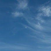 Profile Picture of Ralph Trujillo (@ralphtrujillo1752) on Youtube