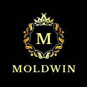 Profile Picture of MOLDWIN (@moldwin) on Youtube