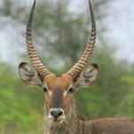 Profile Picture of David Morrey (@dmorrey3) on Instagram