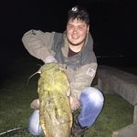 Profile Picture of Kyle Easterday (@kyleeasterday) on Instagram