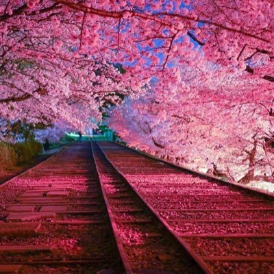 Profile Picture of Isaac Blackburn (@IsaacBl66562398) on Twitter