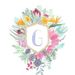 Profile Picture of Grace McMahon (@gmcmahon1405) on Pinterest