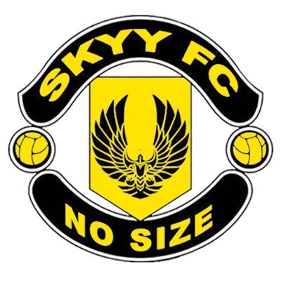 Profile Picture of Skyy FC (@SkyyFC1) on Twitter