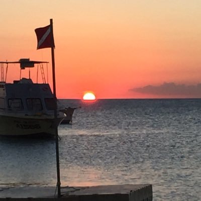 Profile Picture of Jordan Brian McAdams (@JordanMcAdams7) on Twitter