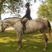 Profile Picture of Julia Goolia (@ponyjocky) on Pinterest
