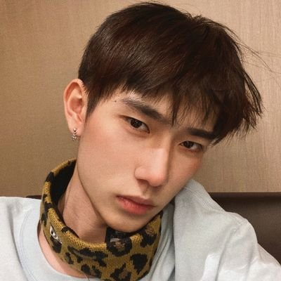 Profile Picture of Matthew K. Yan (@matthewyannn) on Twitter