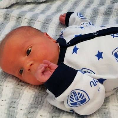 Profile Picture of Alan Clough (@cloughie2) on Twitter