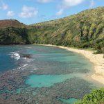 Terese Mitchell - Instagram Profile Picture of Terese Mitchell (@teereese71) on Instagram