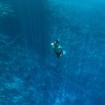 Profile Picture of Alex Rivas (@rivas.alx) on Instagram