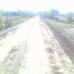 Profile Picture of Fabian Celaya Arreol (@CelayaArreol) on Twitter