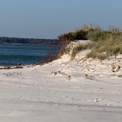 Profile Picture of Dennis DiMaggio (@DennisDiMaggio) on Twitter