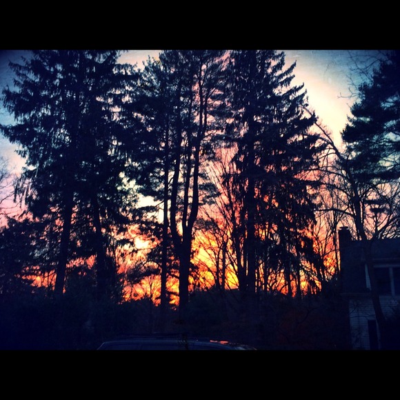 Profile Picture of Charlotte Brosoff (@charlotte134) on Poshmark