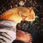 Profile Picture of Priyanka Nair (@priyanka.nair11) on Instagram