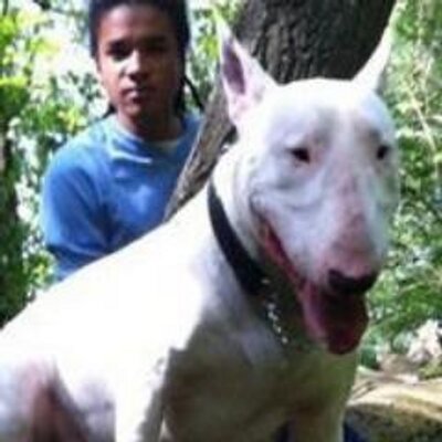 Profile Picture of Bilal Kareem Shabazz (@bilal_kareem) on Twitter