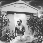 Profile Picture of michael notley (@notleymichael) on Instagram