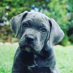 Profile Picture of diletti cassandra (@diletticassandra) on Instagram