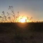 Profile Picture of Eric M. Nagler (@ninhuen8) on Instagram