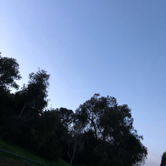 Profile Picture of Daniel Vizcarra (@daniel319) on Poshmark