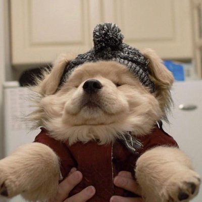 Profile Picture of Matthew Musil (@MatthewMusil) on Twitter