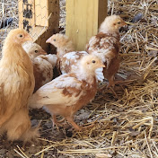 Profile Picture of James England (@JRE_FARM) on Youtube