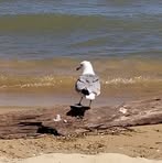 Profile Picture of Dawn Klauka (@dawn.klauka) on Facebook