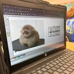 Profile Picture of Ollie Carlson (@Ollie-Carlson) on Facebook