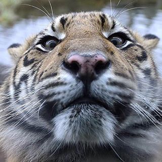 Karl Pichler - Facebook Profile Picture of Karl Pichler (@karl.pichler.90) on Facebook