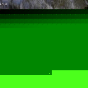 Profile Picture of Tami Mccarthy-pierce (@tamimp) on Myspace