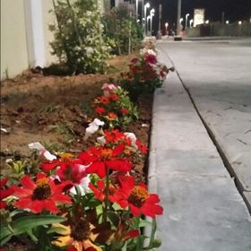 Profile Picture of Hamad ALmansoori (@hamadsalmnsoori) on Pinterest