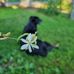 Profile Picture of Chrissy Harshman (@chrissy.harshman) on Facebook