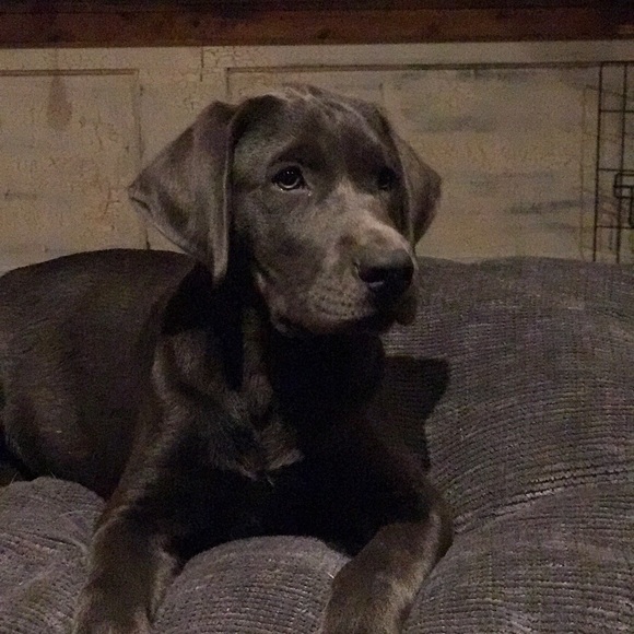 Profile Picture of Shaun Jackson (@shaun416) on Poshmark