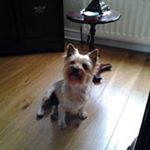 Profile Picture of Raymond Neill (@raymond_neill) on Instagram