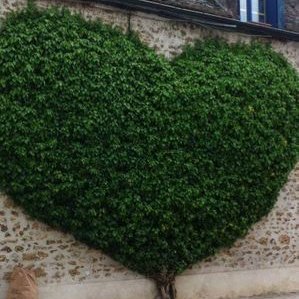 Profile Picture of Jairo Zapata (@jairozapata65) on Twitter