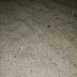 Profile Picture of Christoph Frenzel (@christoph.frenzel) on Tiktok