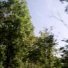 Profile Picture of Daniel hiatt (@@thecousins794) on Tiktok