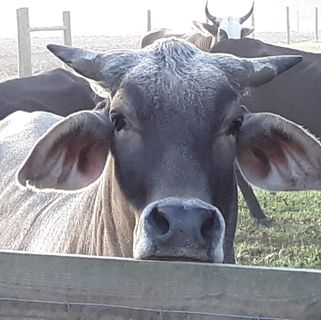 Profile Picture of Jason Fordham (@Jason-Fordham) on Facebook