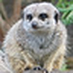 Profile Picture of mbwyatt1978 (@mbwyatt1978) on Flickr