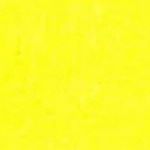 Profile Picture of Jean Arkin (@seashell_jean) on Instagram