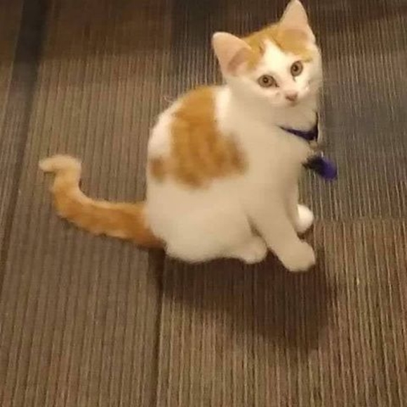 Connie Guthmiller - Poshmark Profile Picture of Connie Guthmiller (@connieguthmi781) on Poshmark