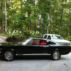 Profile Picture of Randy Gosnell (@randygosnell) on Tiktok