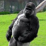 Profile Picture of Graham Sinclair (@sinclairgraham) on Instagram