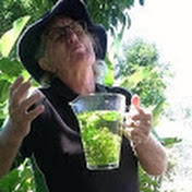 Profile Picture of Tony Robertson Media (@Cultureboy) on Youtube