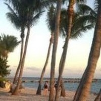 Profile Picture of Kathy Corey (@kathy-corey-1) on Quora