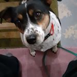 Profile Picture of Jeff McCurry (@jeffcherokeemccurry) on Instagram