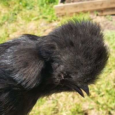 Profile Picture of Josh Wedge (@JoshWedge5) on Twitter
