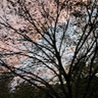 Profile Picture of Renee` Bock (@renee-bock-6) on Quora