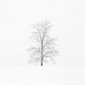 Profile Picture of Mitchell King (@mitchellking6) on Youtube