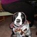 Profile Picture of Dona Boivin (@dona.boivin.5) on Facebook