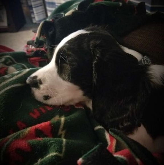 Profile Picture of Leonda Gottwald (@leondagottwald) on Poshmark