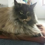 Lea Marie Winkler - Instagram Profile Picture of Lea Marie Winkler (@lea.winkler.marie) on Instagram